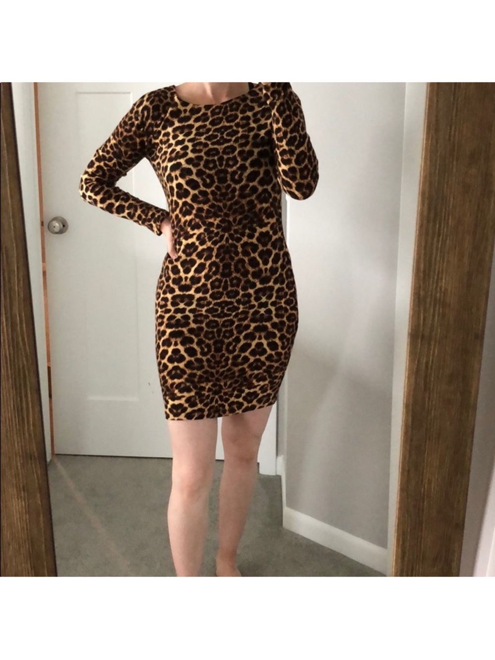 Leopard Print Long Sleeve Dress - Brown & Black - Picture 4 of 7